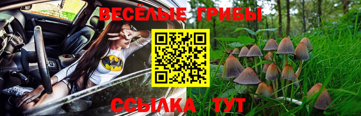 Боровичи  Псилоцибиновые грибы Cubensis  Галлюциногенные грибы Cubensis  Вход с VPN 