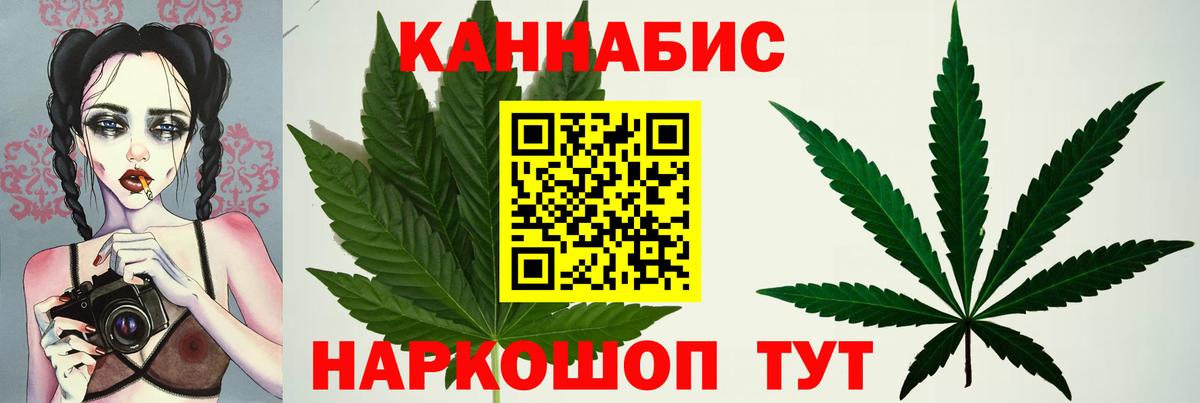 Конопля сатива Боровичи